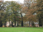 Het Wegdam